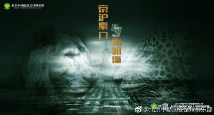 老司机免费在线视频