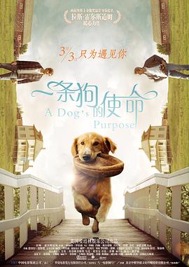 亚洲热视频