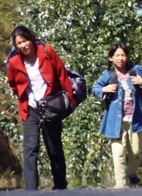 叶泽涛全文免费笔趣阁